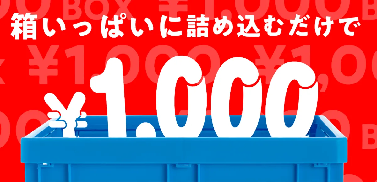 1000円ボックス「箱いっぱいに詰め込むだけ」